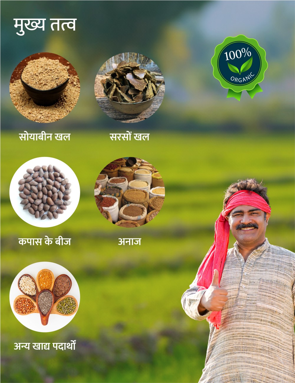 Premium Payal 8000 ingredients