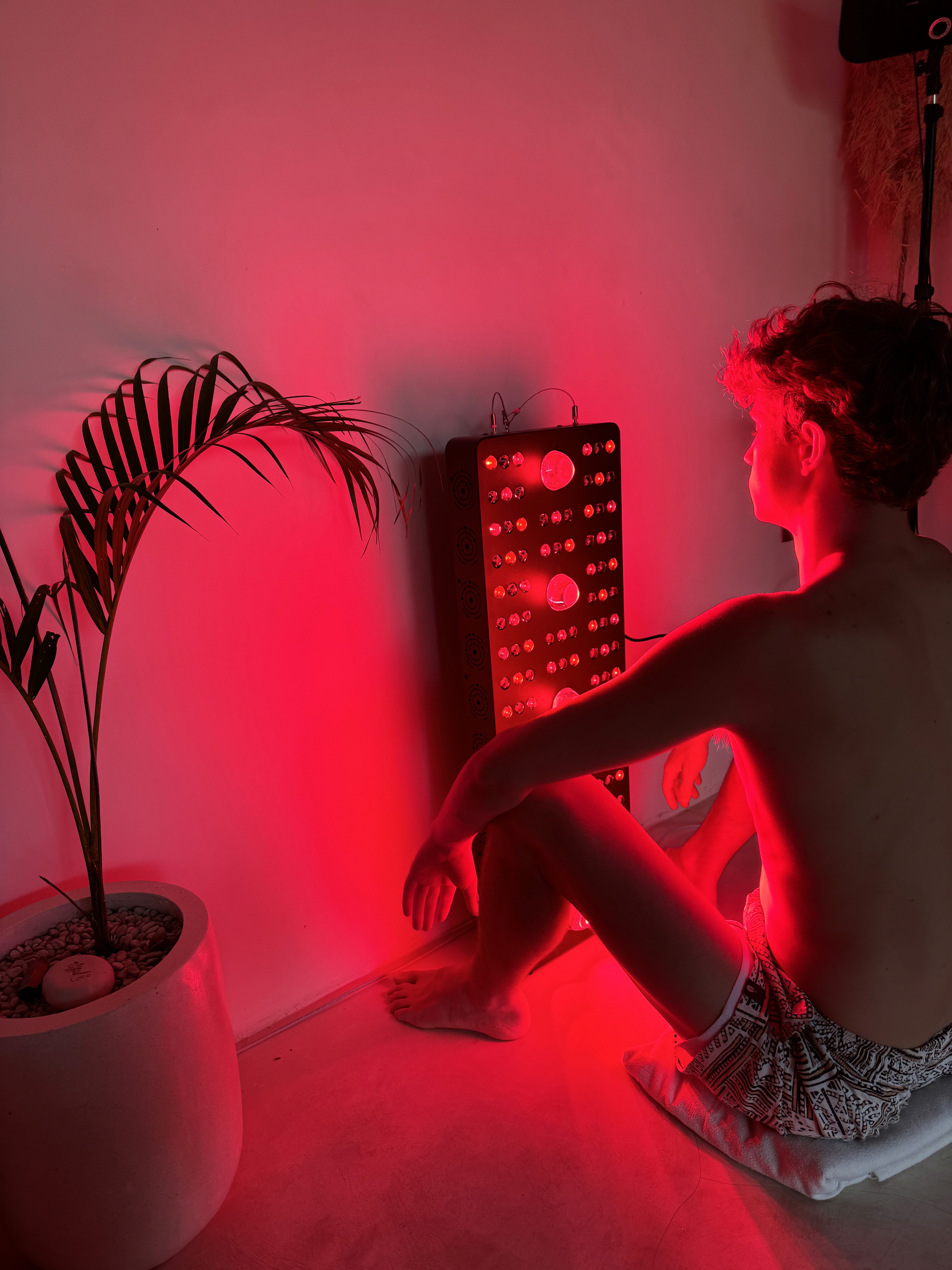 Spending chart card showing a line graph with a highlighted data point from June 2028