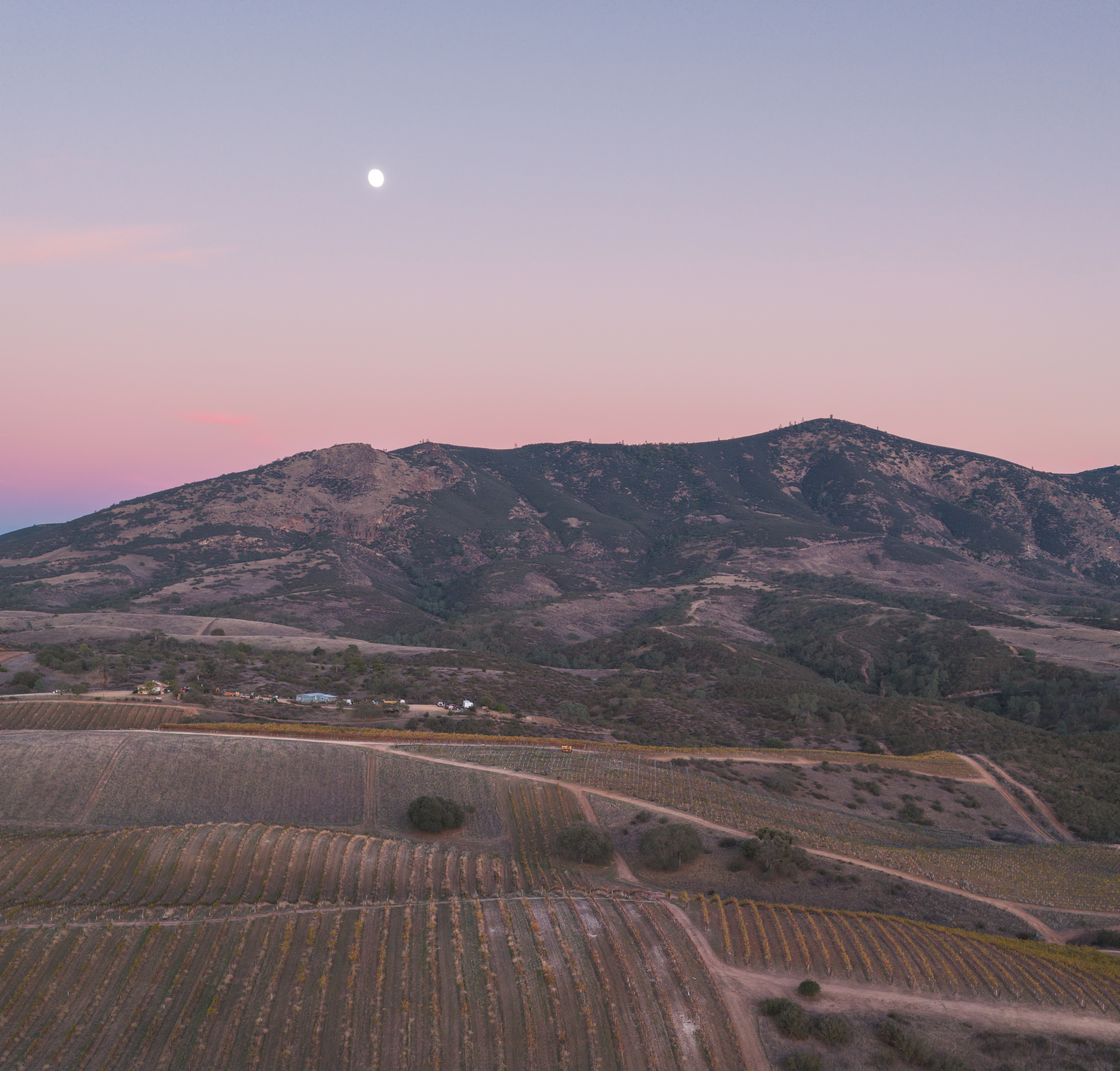 Coach explaining stuff to an athlete