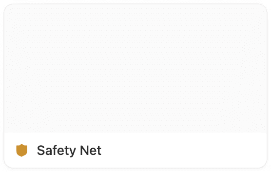 Safety Net Module