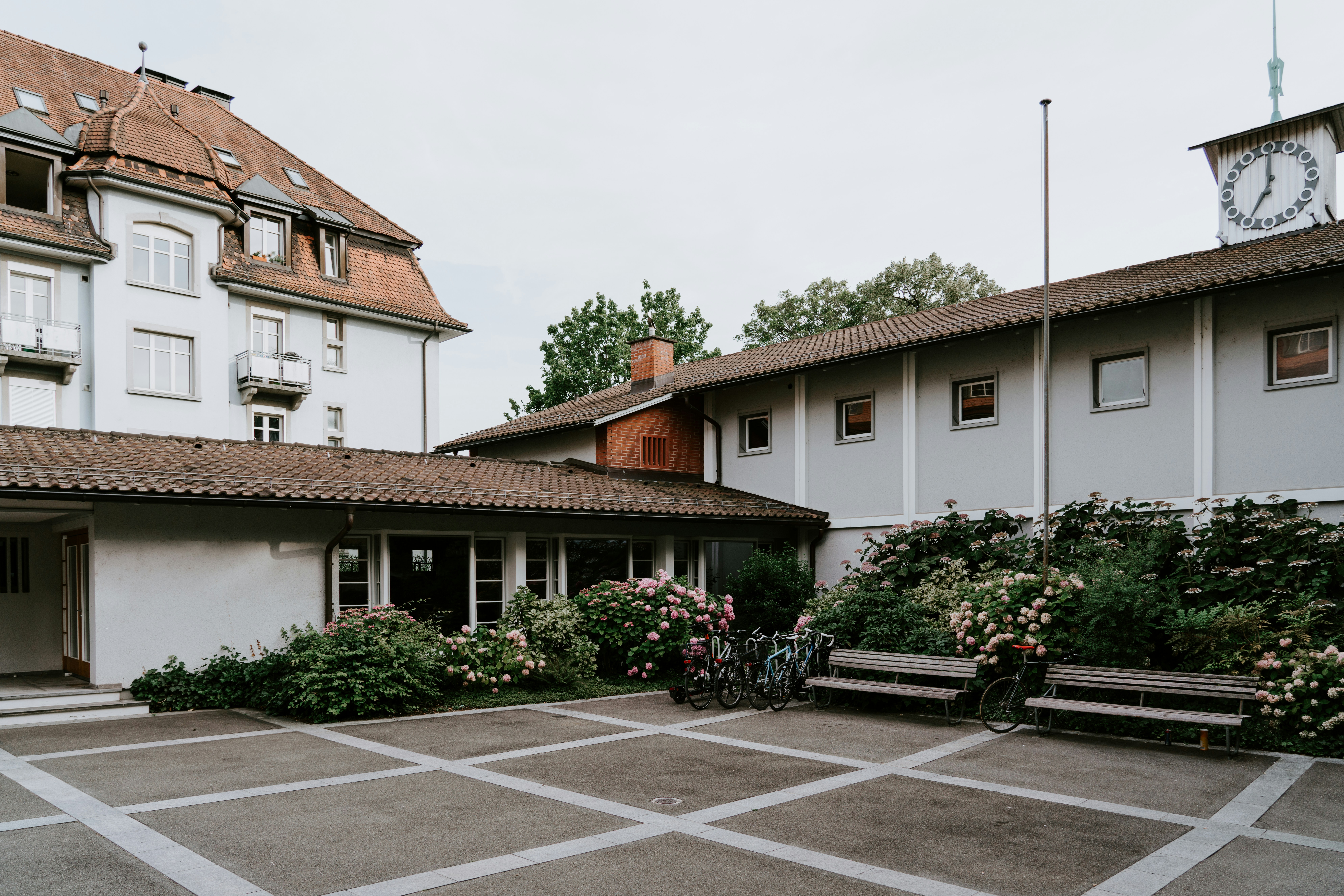 white and brown concrete houses