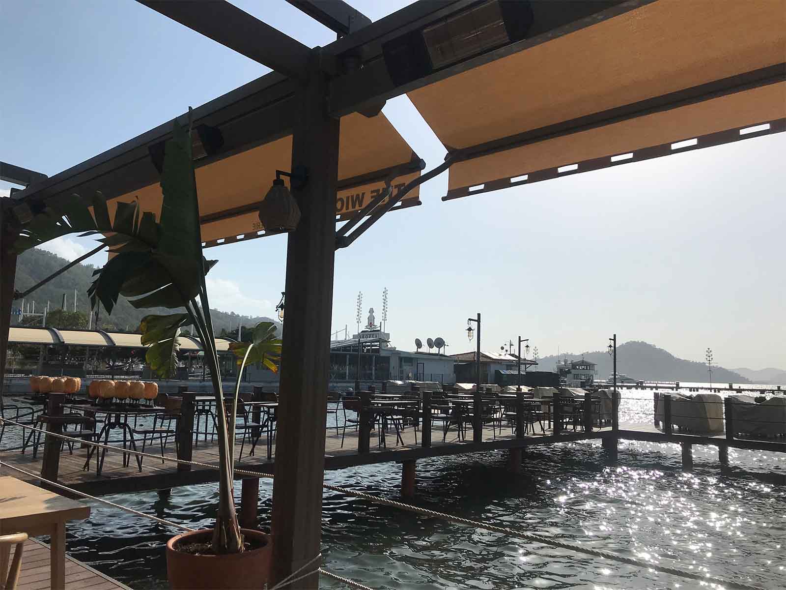 woman holding a phone and man looking at the phone. both are smiling