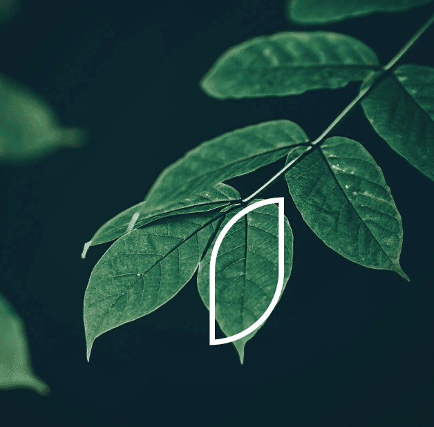 Logotipo formado por las palabras weuta en blanco sobre fondo naranja corporativo.