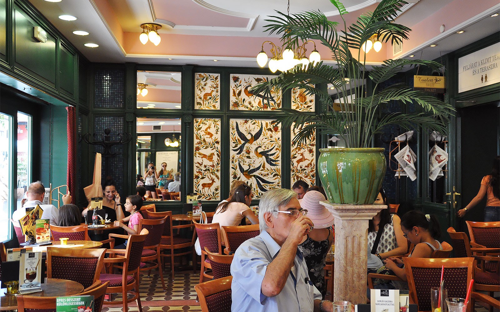 Café interior in Szentendre with people dining, featuring decorative wall art and potted plants.