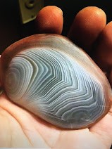 Person in a white off-shoulder top using a MacBook laptop, with text overlay 'What's new in digital?' and the fabrica® logo in the top corner.