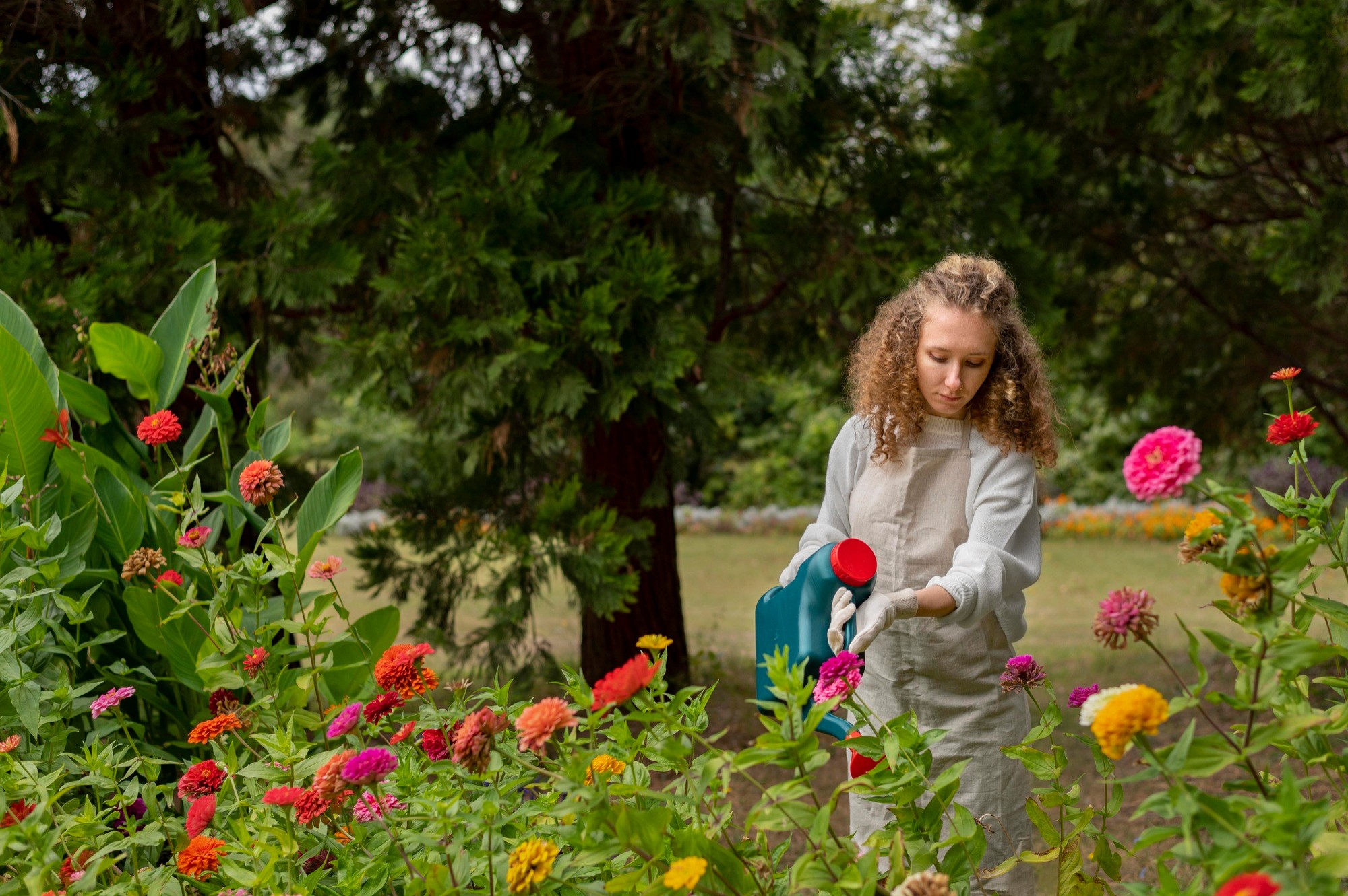 A colorful pollinator garden filled with native flowers