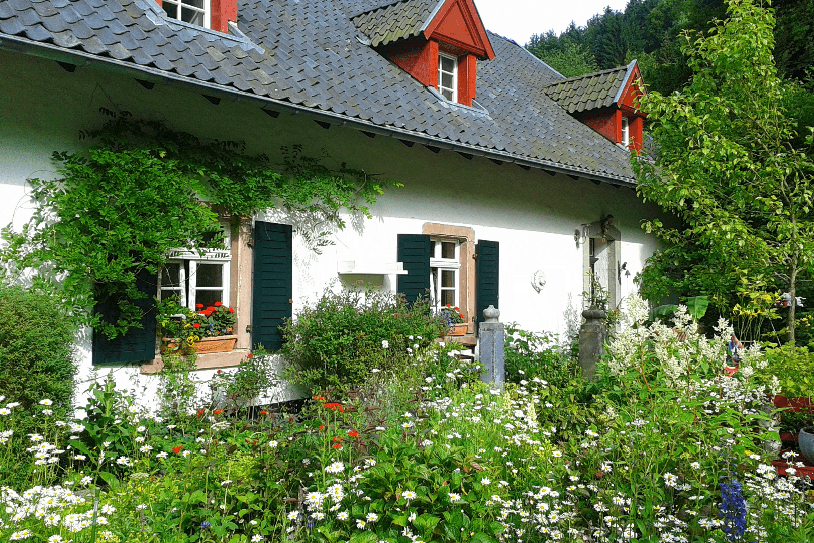 Seasonal pricing strategy for UK vacation rentals