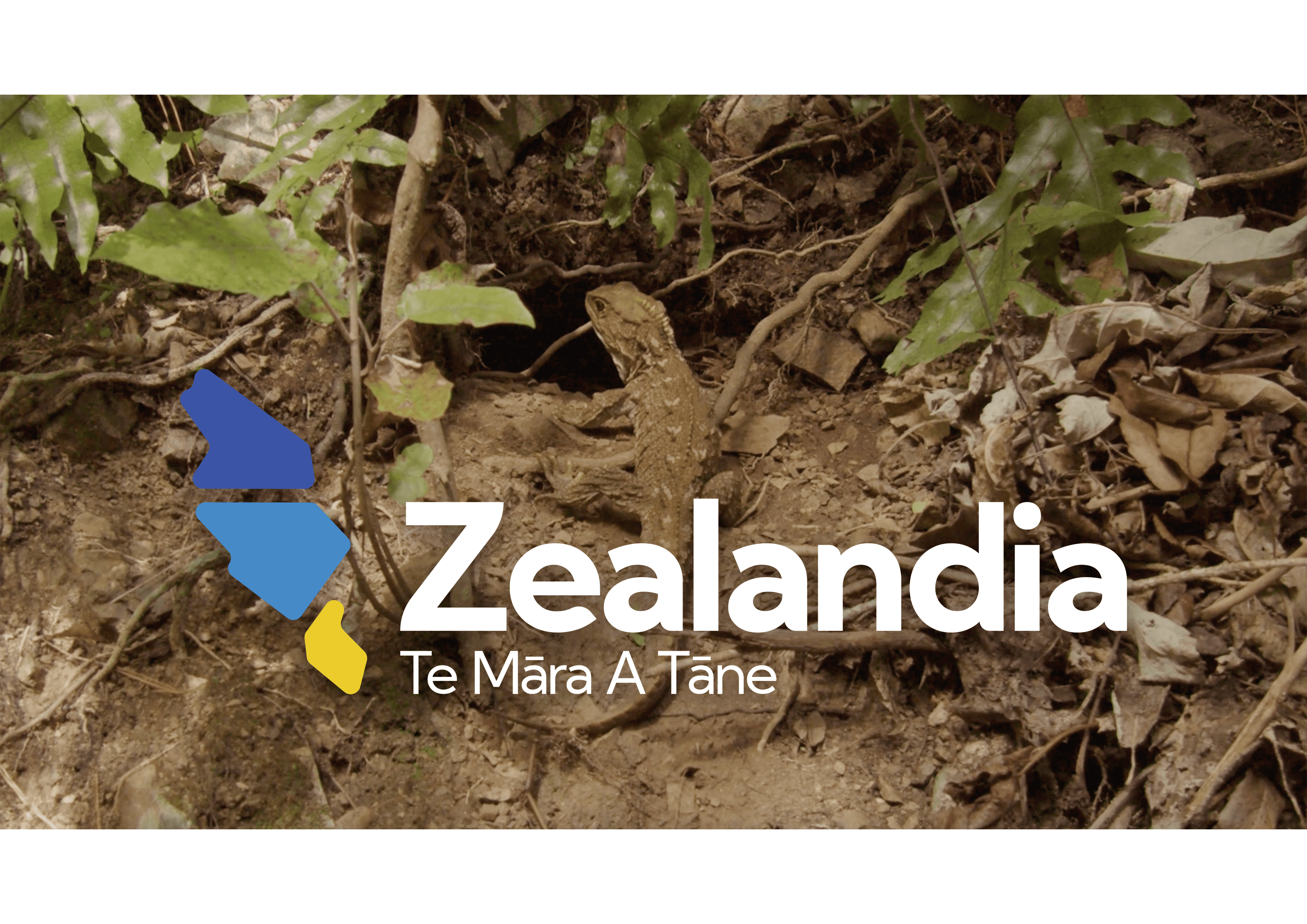 Flatmate's #dontbethatflatmate campaign