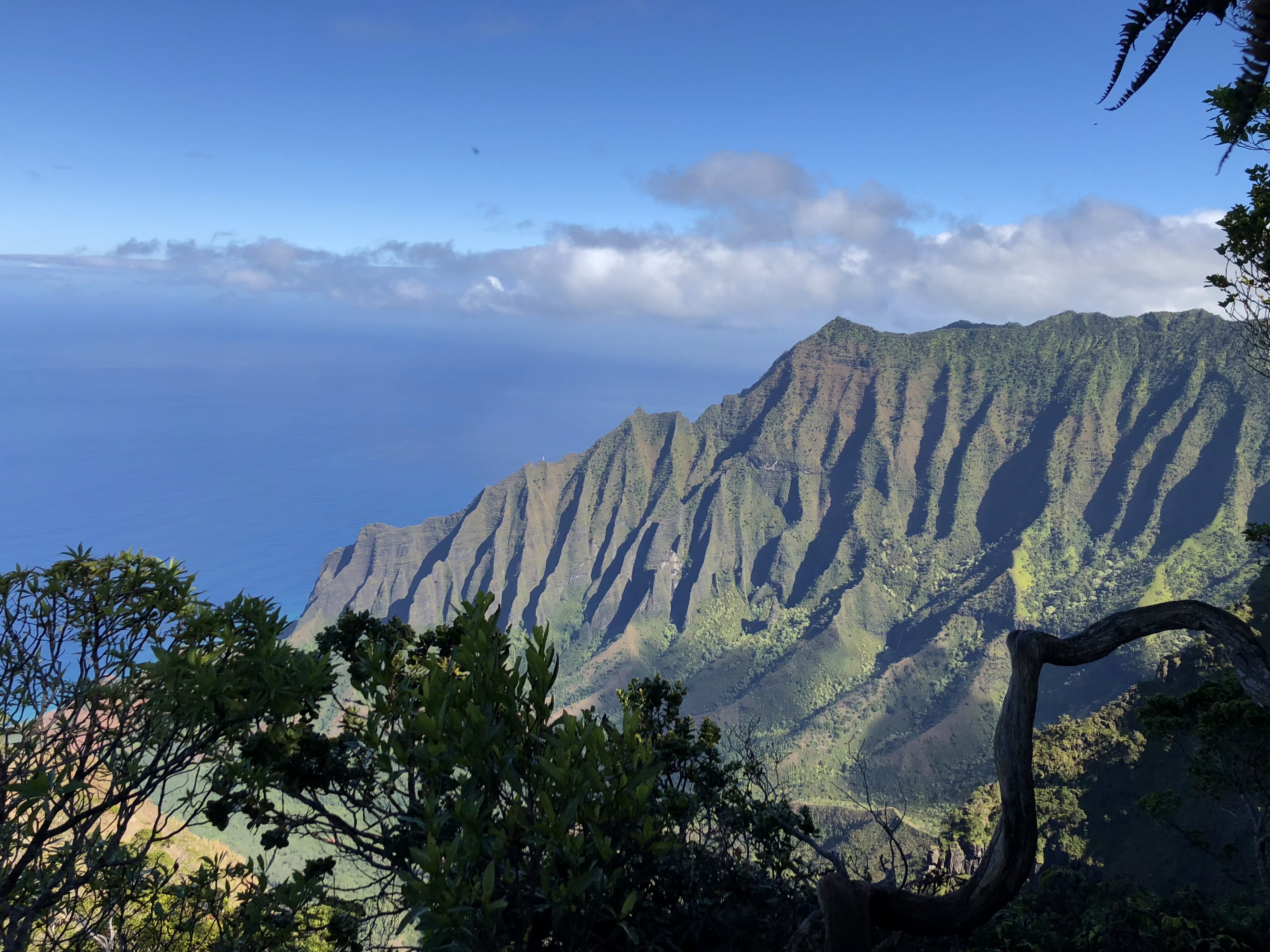 The image featured at the top of the about us page #2