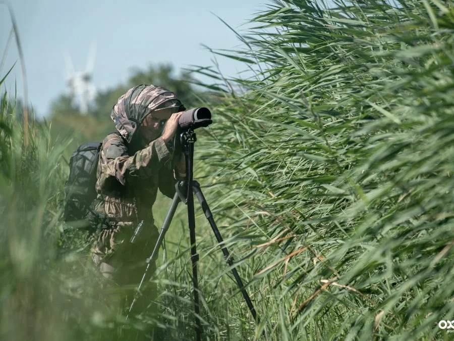 Cas client Overcap — observation en plein air avec longue-vue dans la nature pour une campagne de marketing digital