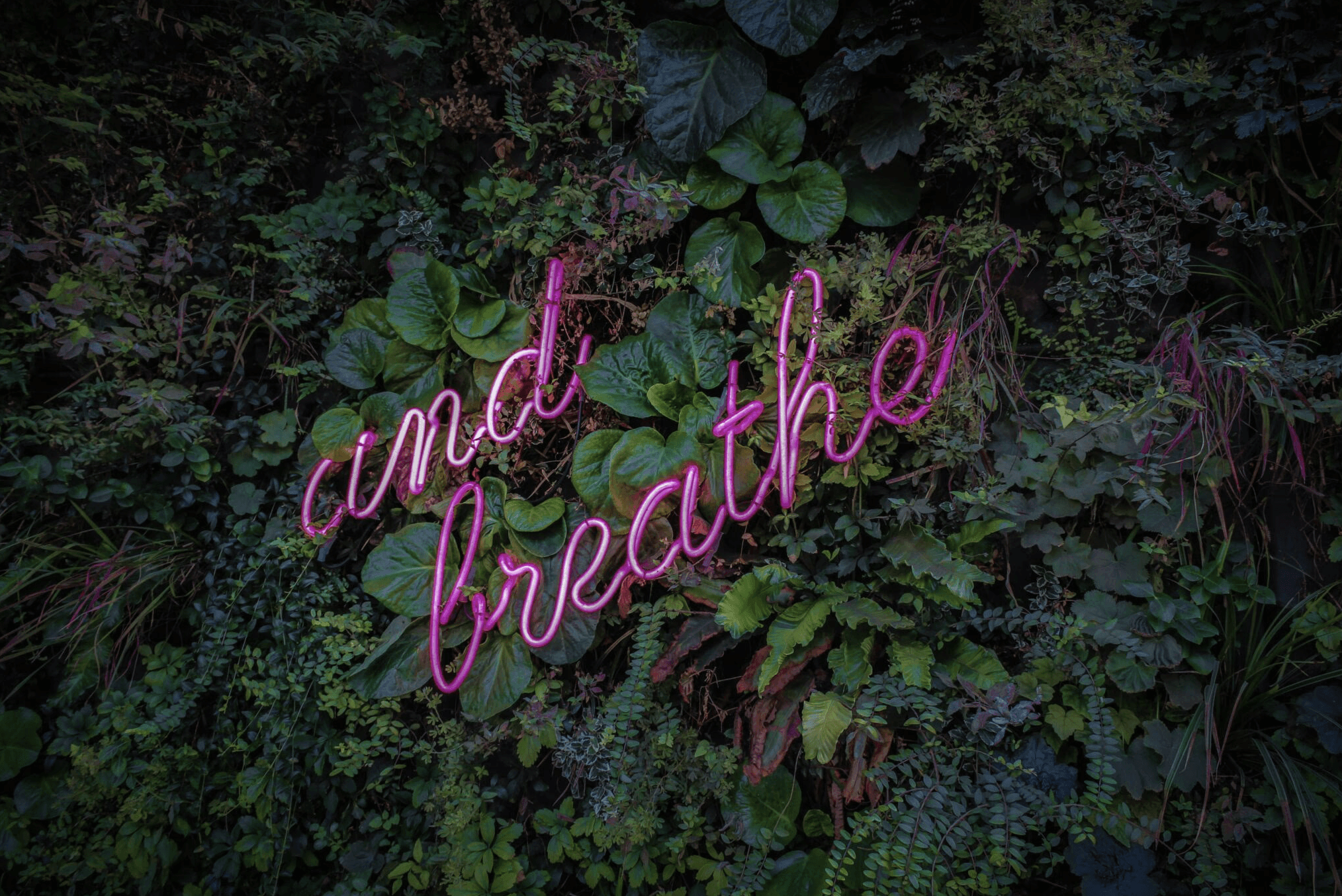 and Breath Image