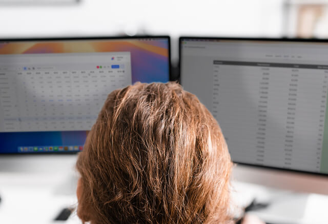 Person with brown hair sits at a desk, facing two computer monitors displaying spreadsheets or data tables.