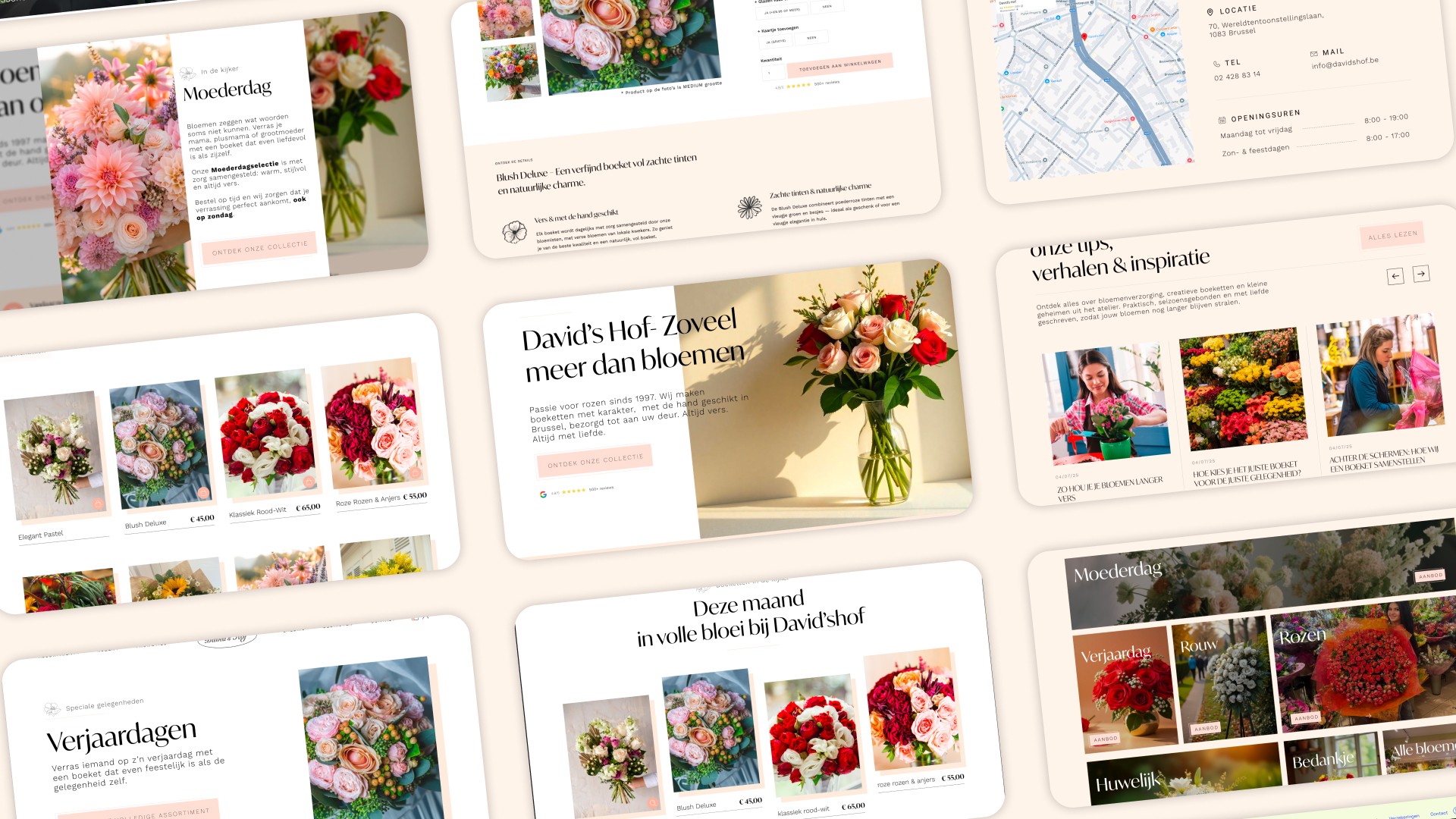 Heph studios portfolio davidshof