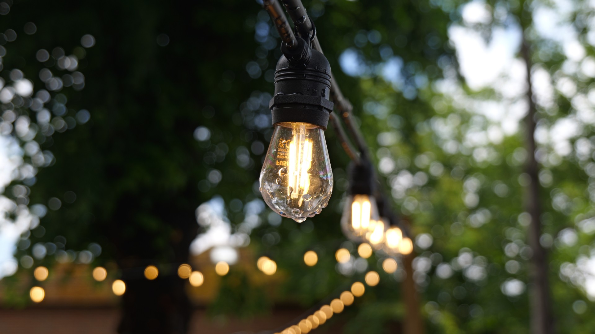 Festoon Light with a blured background of other Festoon Lighting strands