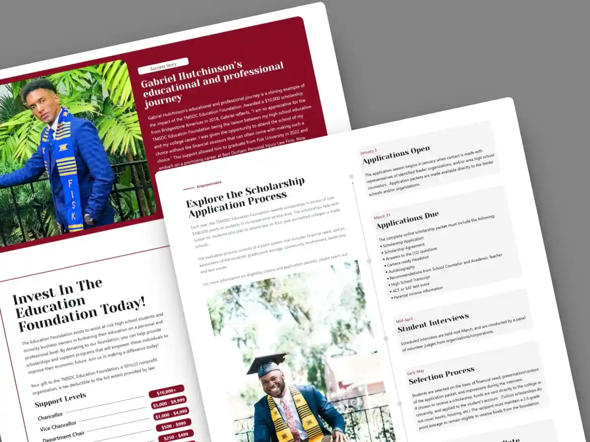 Mockup of TMSDC project