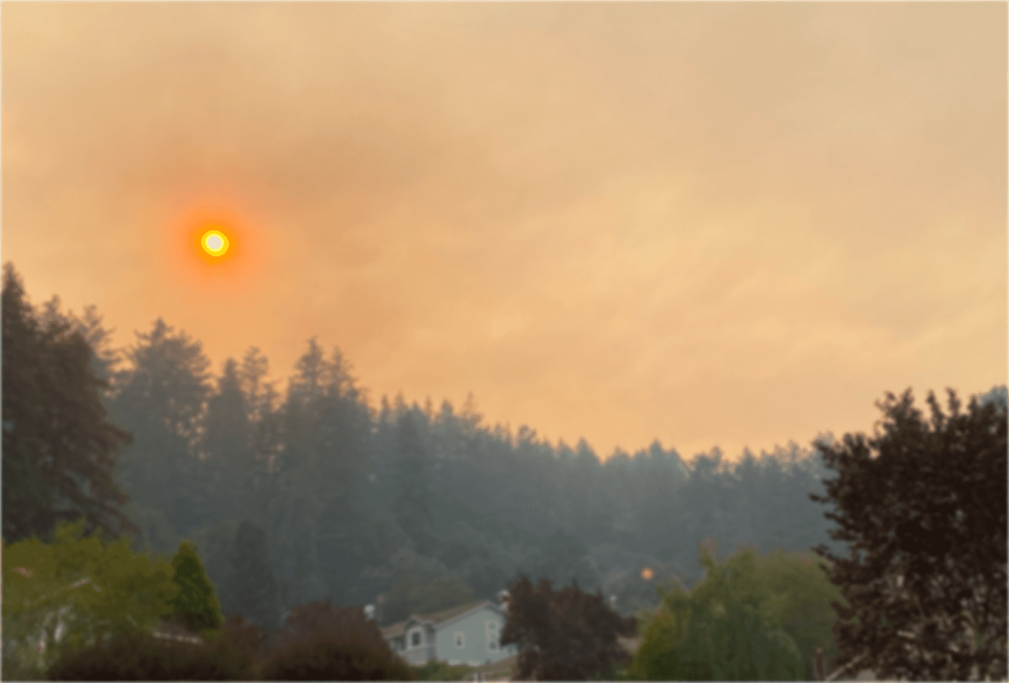 A blurry photo of a treeline with an orange smoky sky from a nearby wildfire