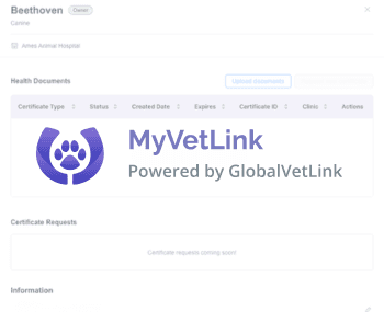 Animal owners and agents solution preview