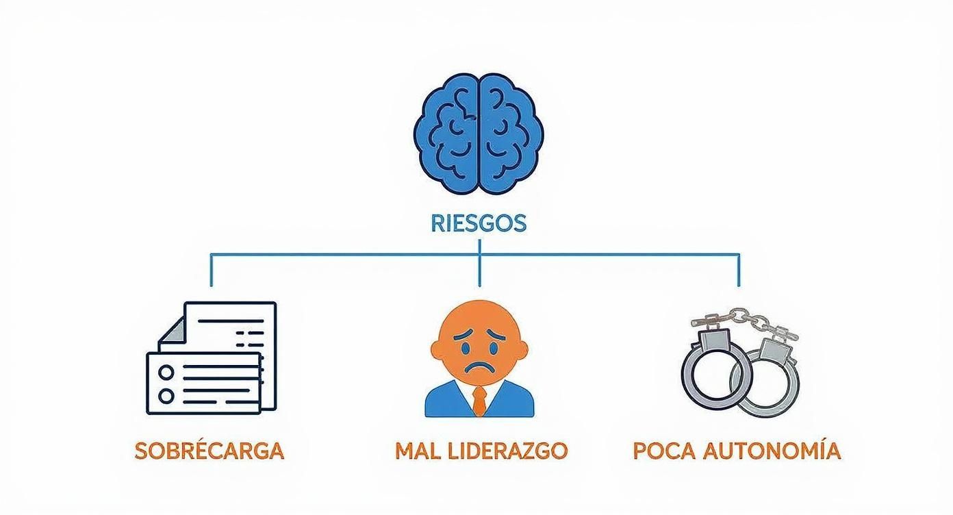 Infographic about qué es la nom 035
