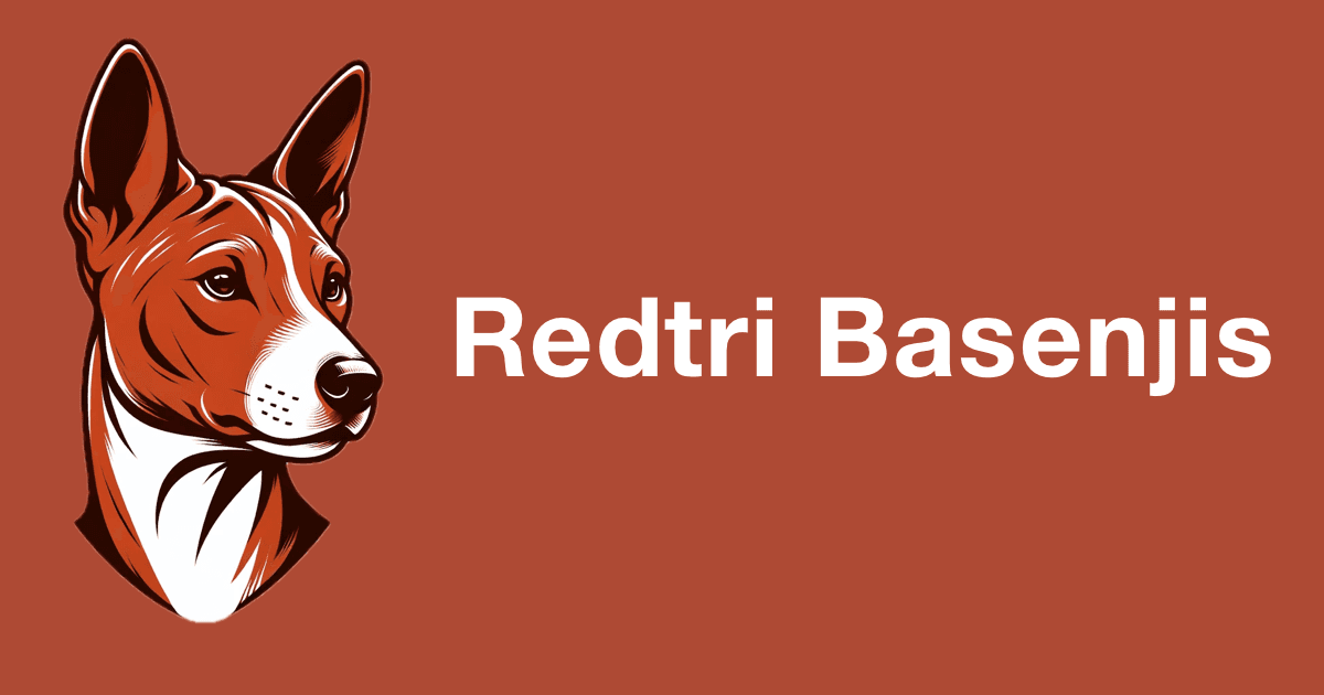 Redtri Basenjis