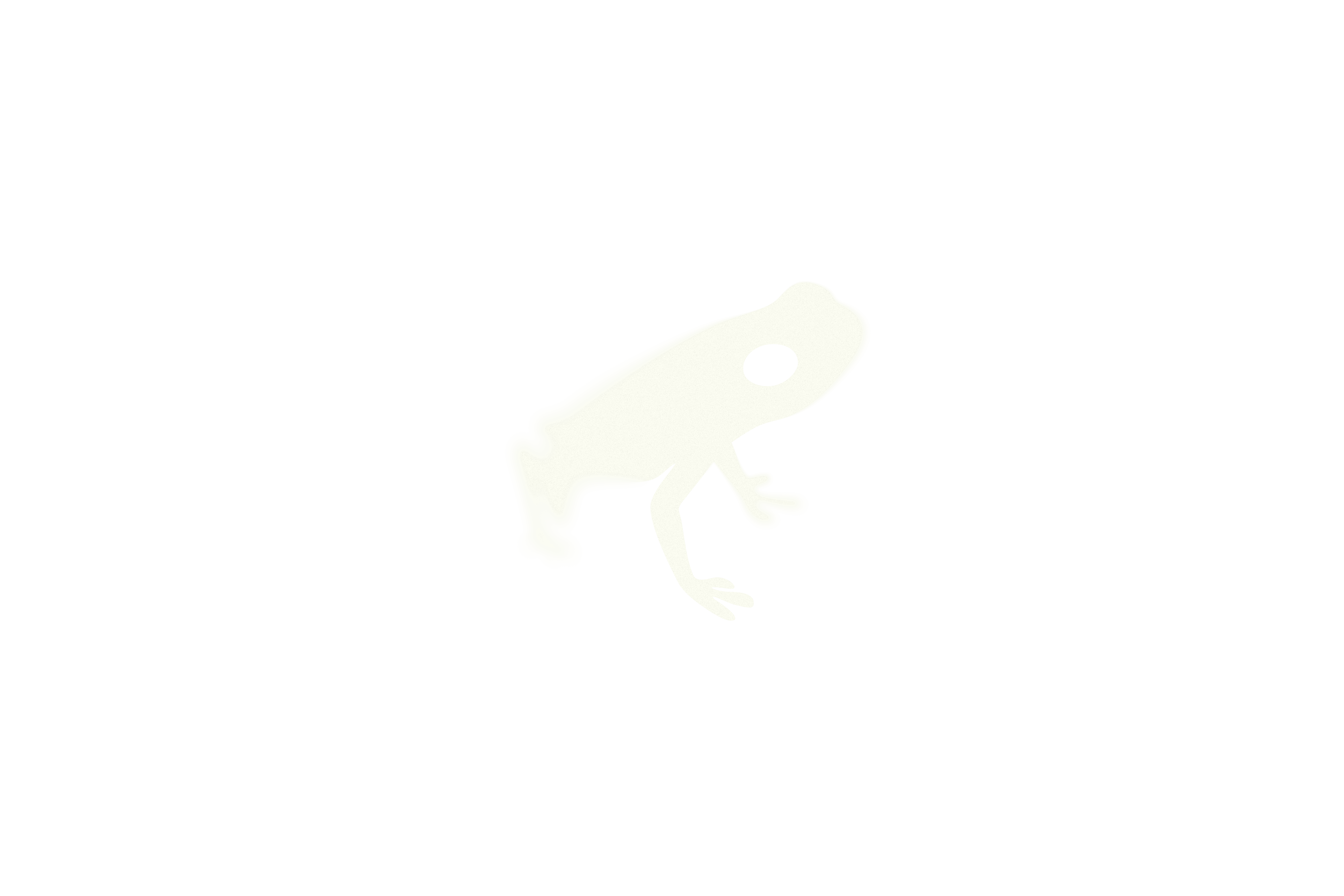 White resting frog