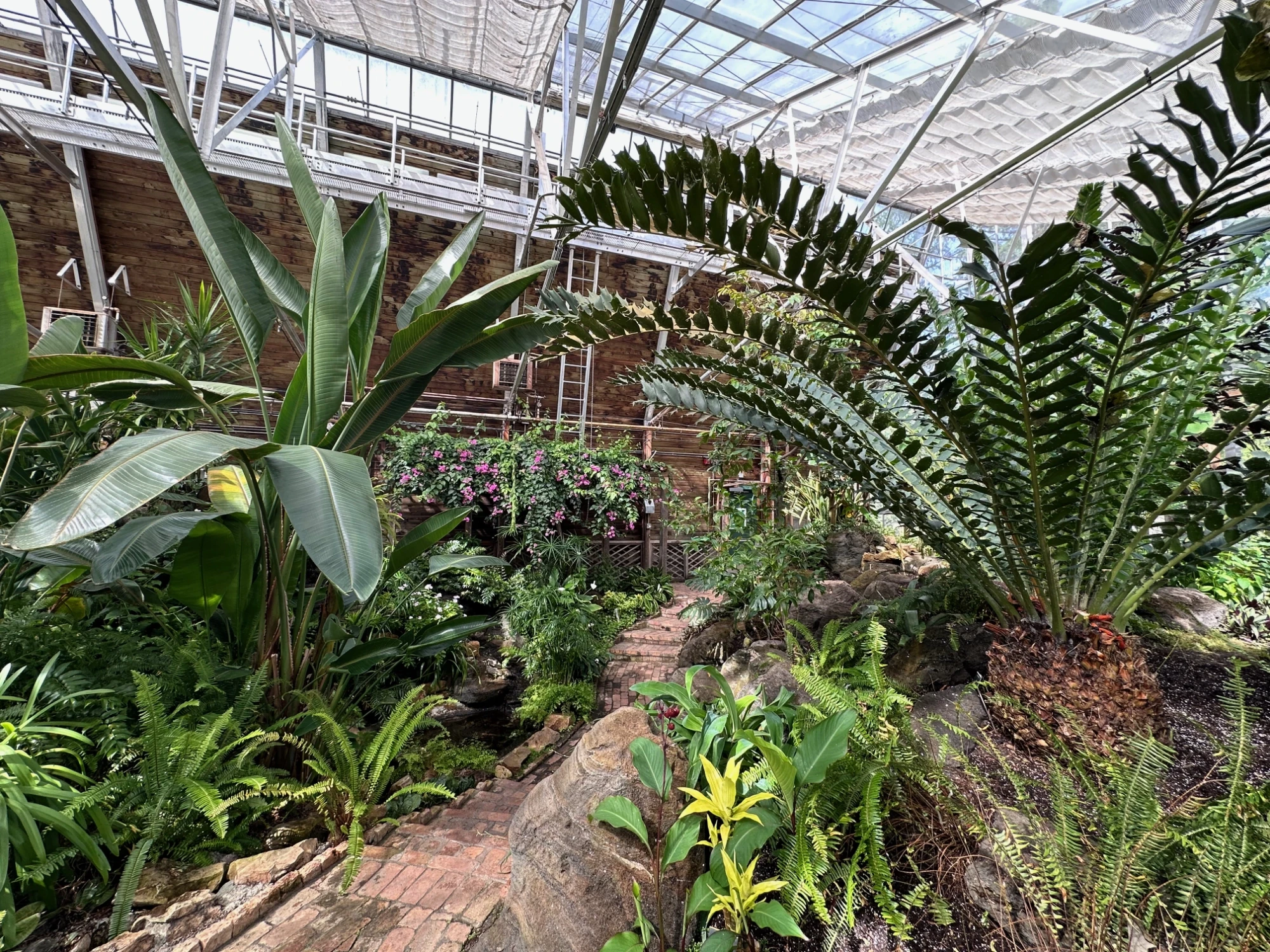 Gallery image 17