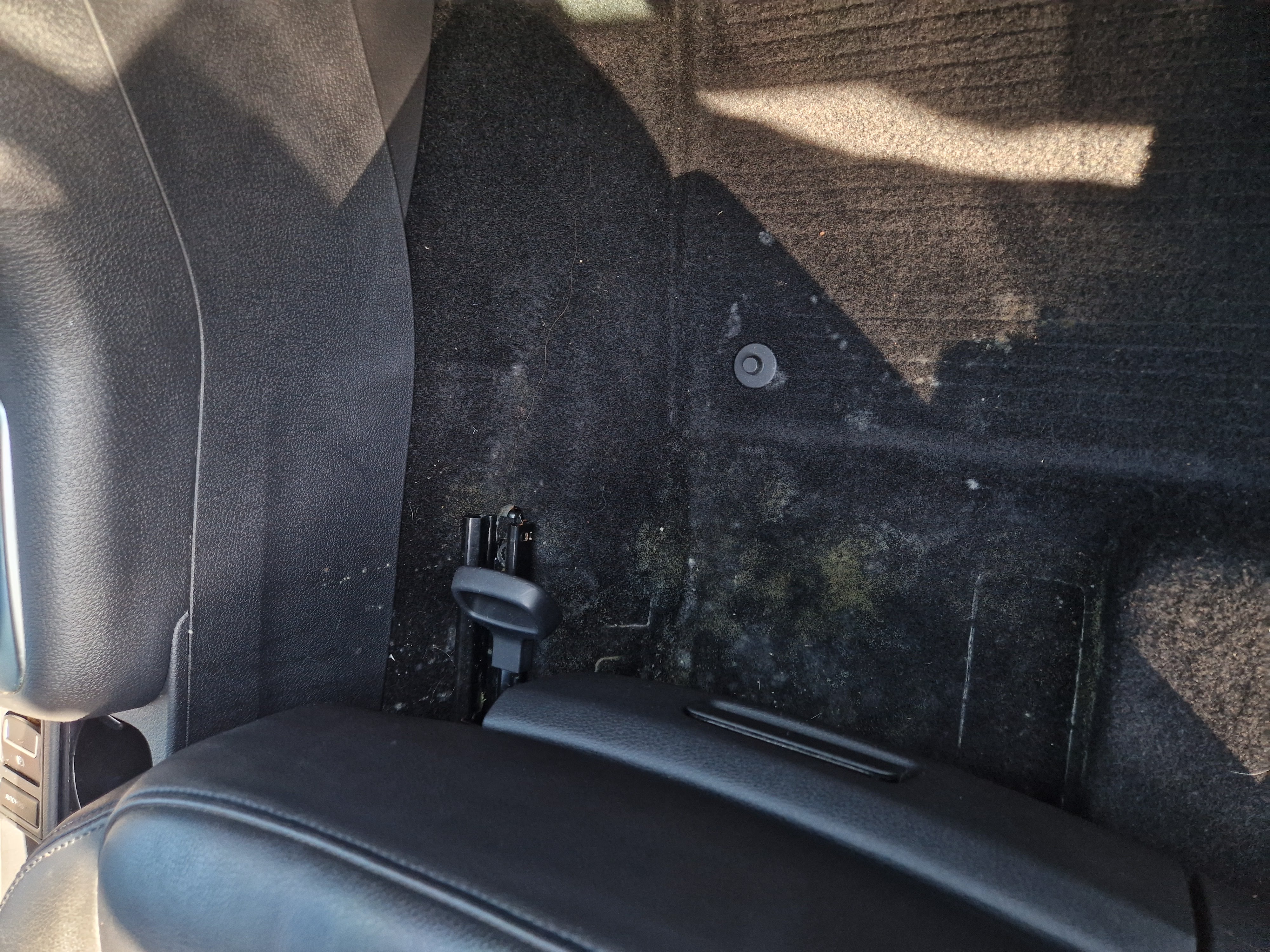 Professionelle Schimmelentfernung im Fahrzeug in Zürich bei Feuchtigkeitsschäden