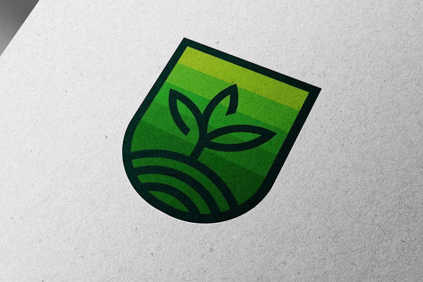 Freshbite packaging design