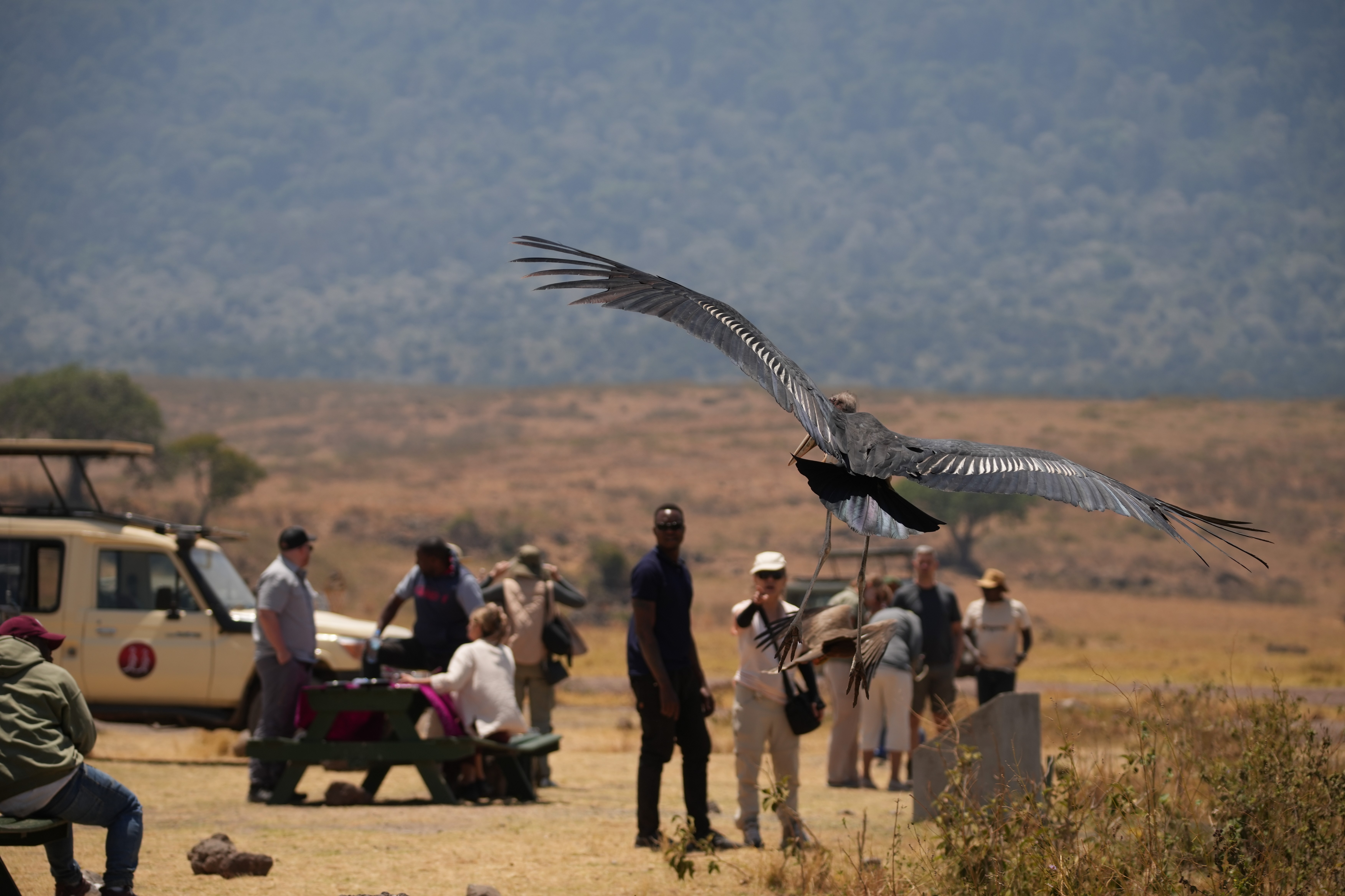 Drone shot of a running track at night