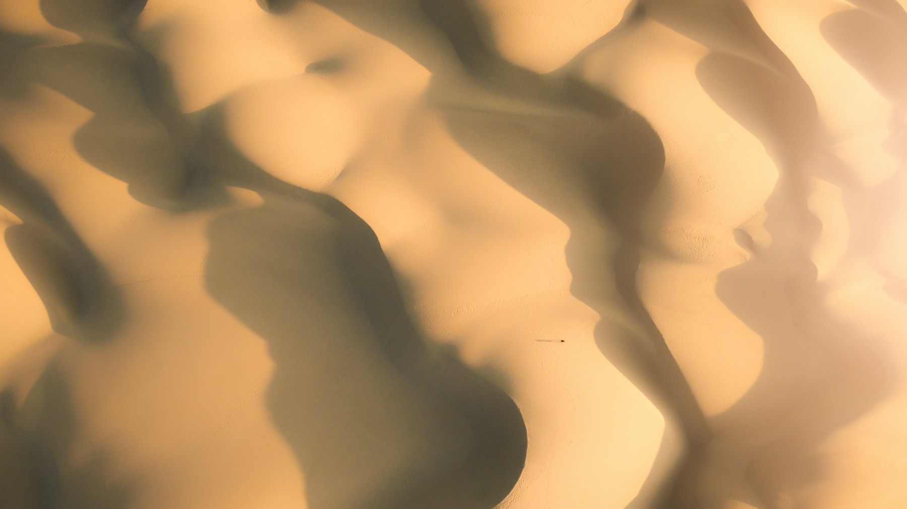 Bodies moving through a warm sand landscape