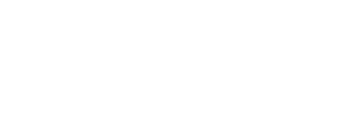 Nozomi Networks logo