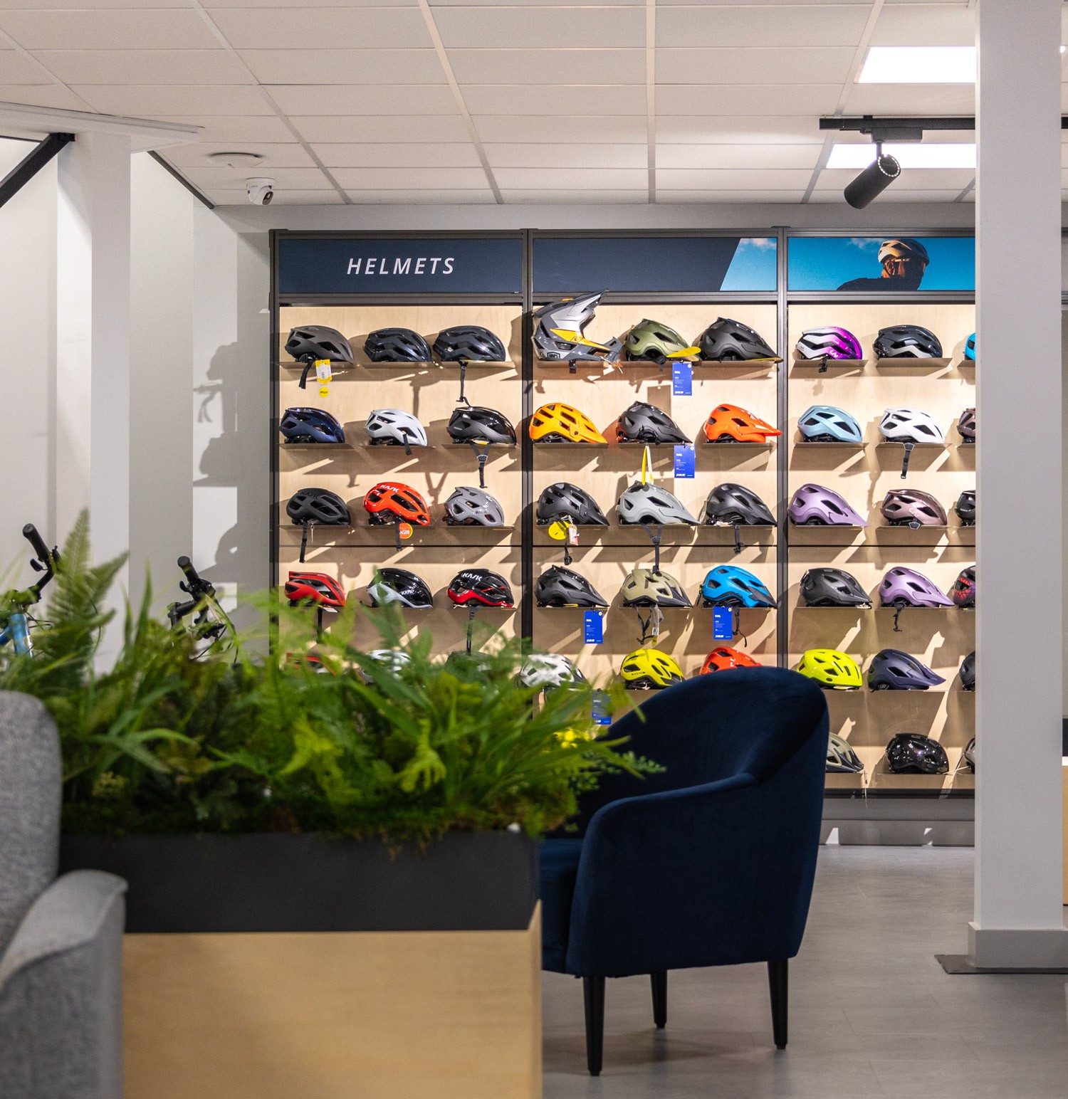 Giant Bikes Brand Store
