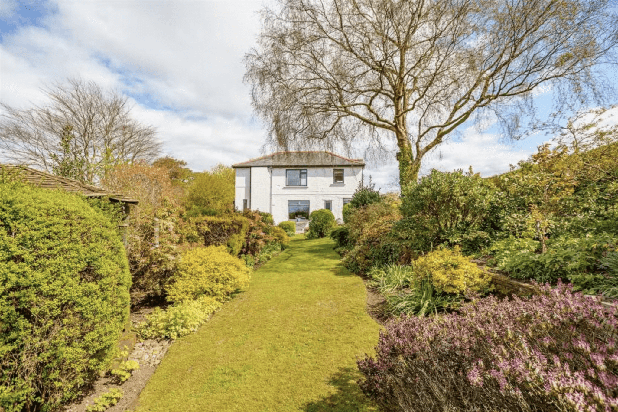 modern house with big windows