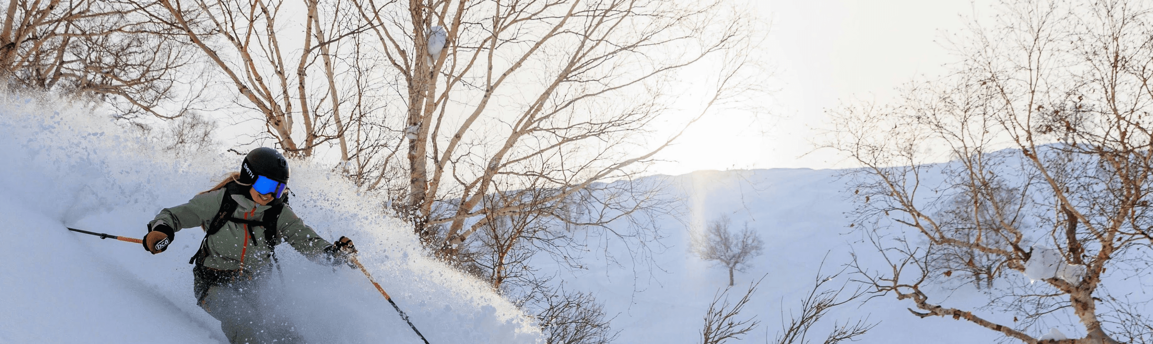 a-skier-swiftly-descends-a-snow-covered-slope-surrounded-by-bare-trees-under-a-c - vivika-stamolis (pexels)
