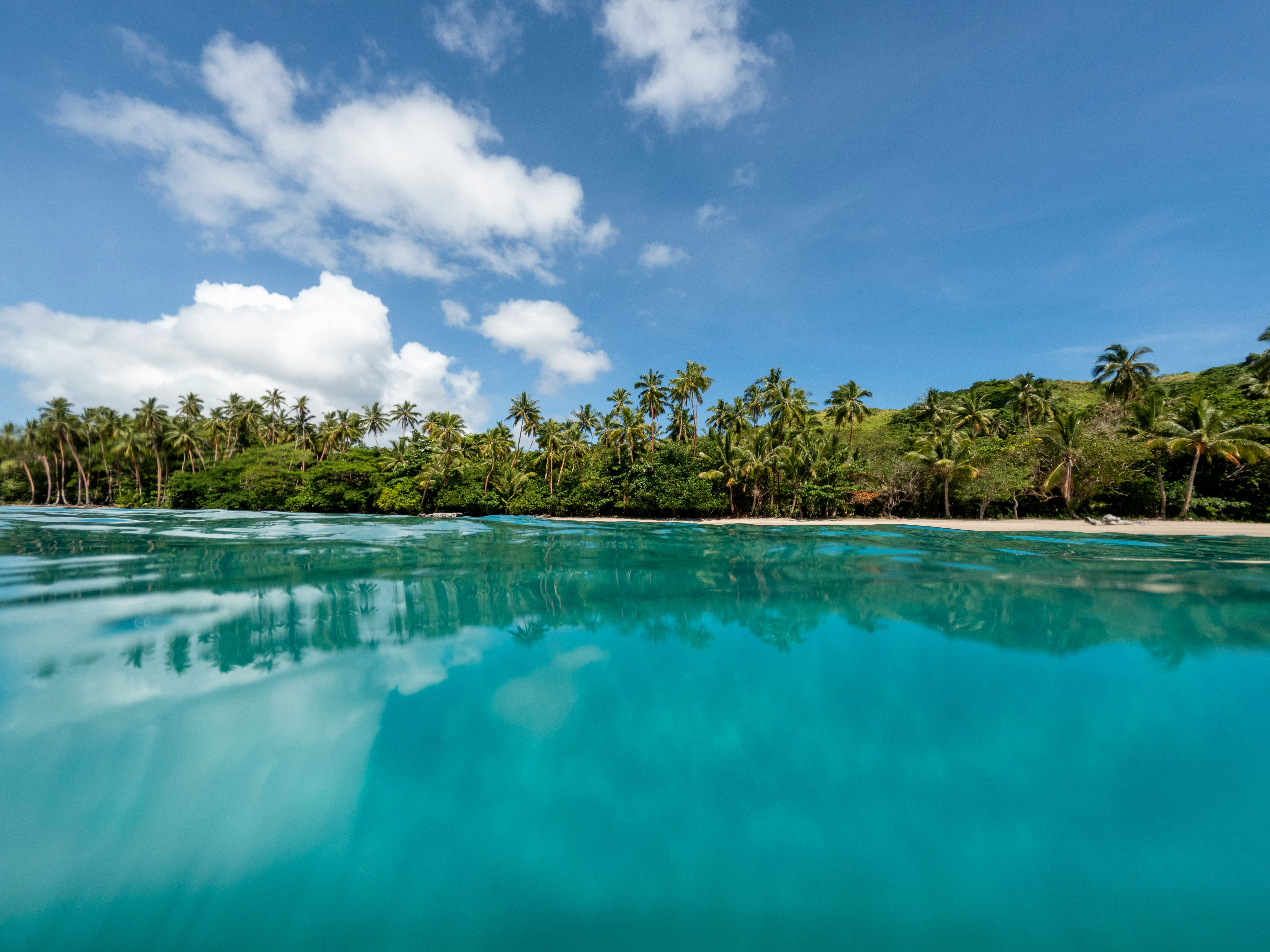 A body of water with trees in the background