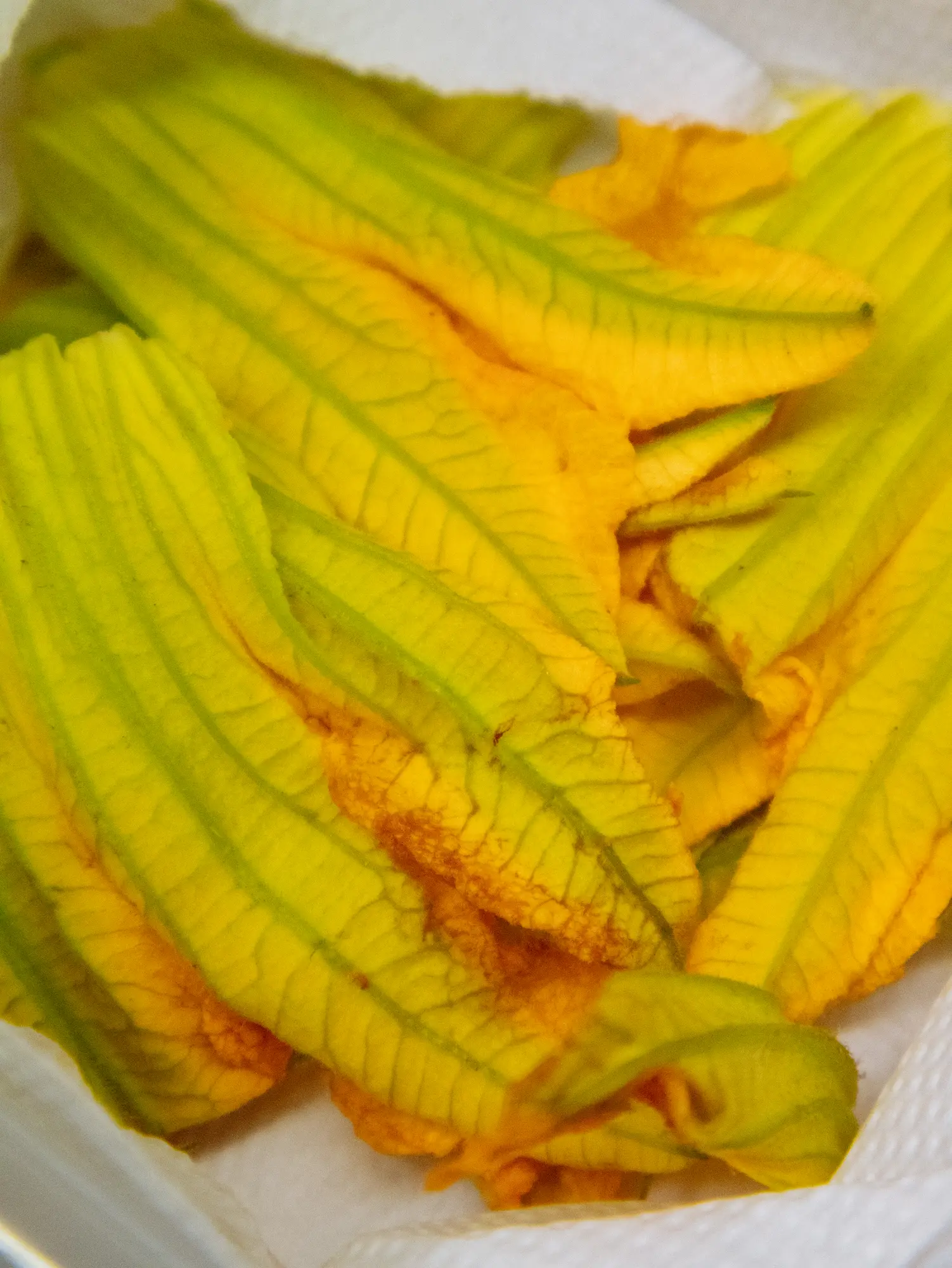 Fiori di zucca freschi selezionati per la cucina stagionale del Ristorante Unico di Cantù.