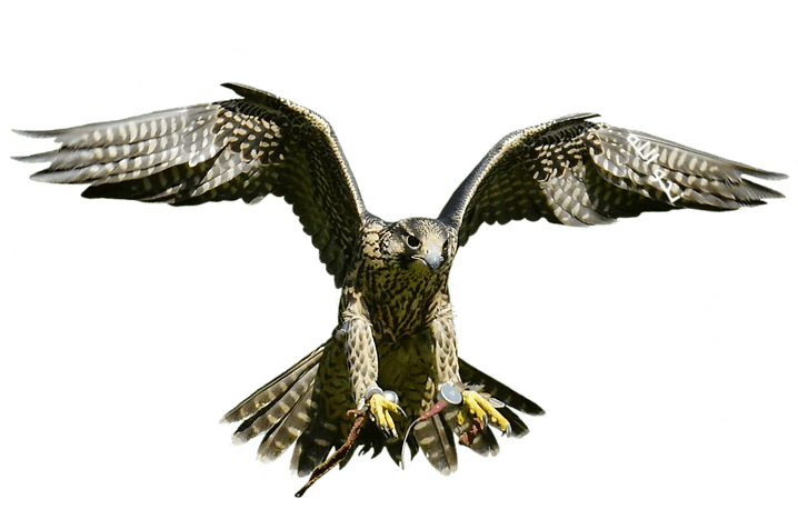 صور الموقع (1263 x 1263 px) (1).png