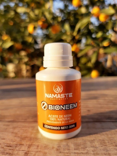 Cultivo de cannabis nutrido con fertilizantes Namaste Nutrientes