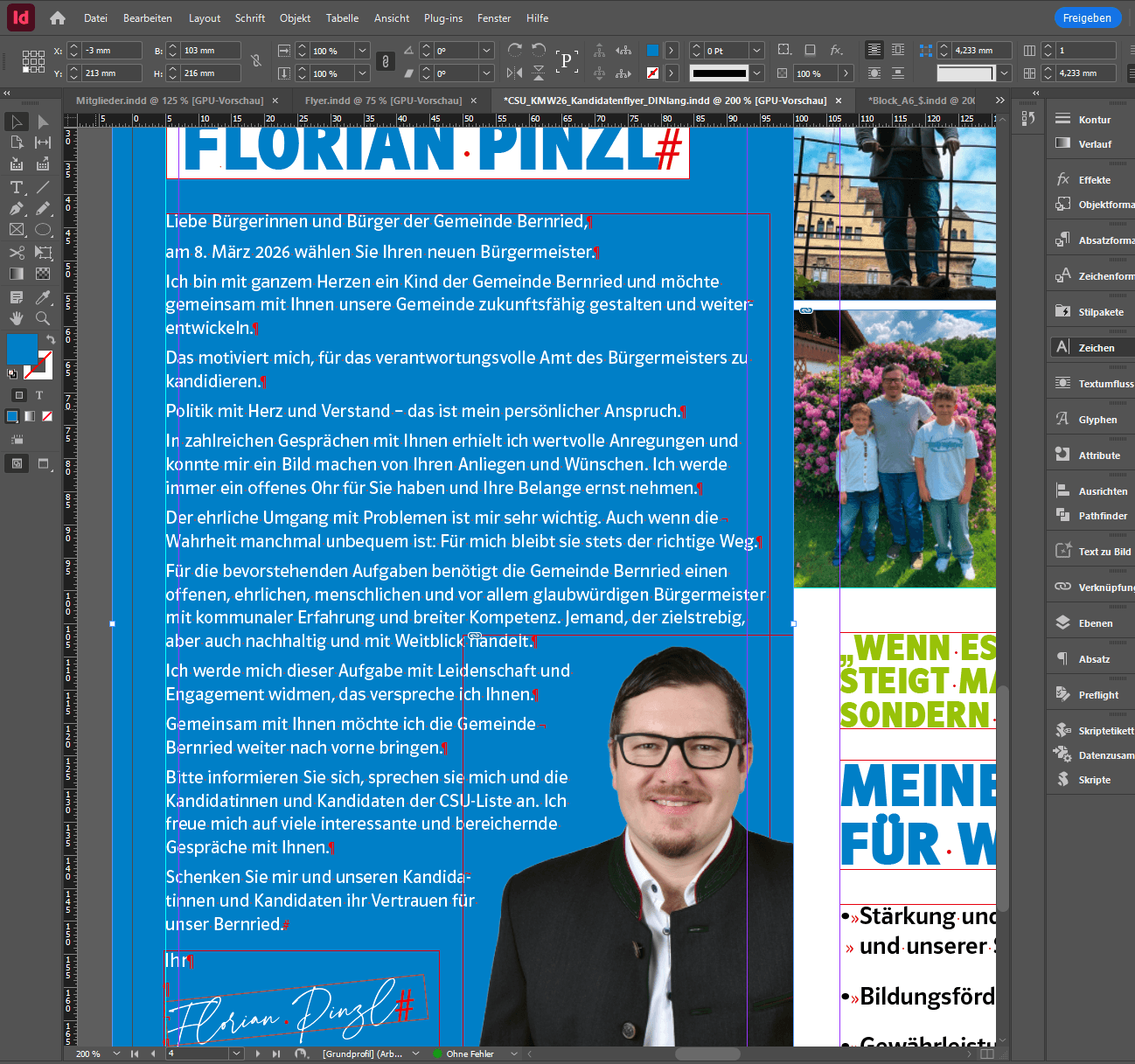 a close up of a red flower on a plant