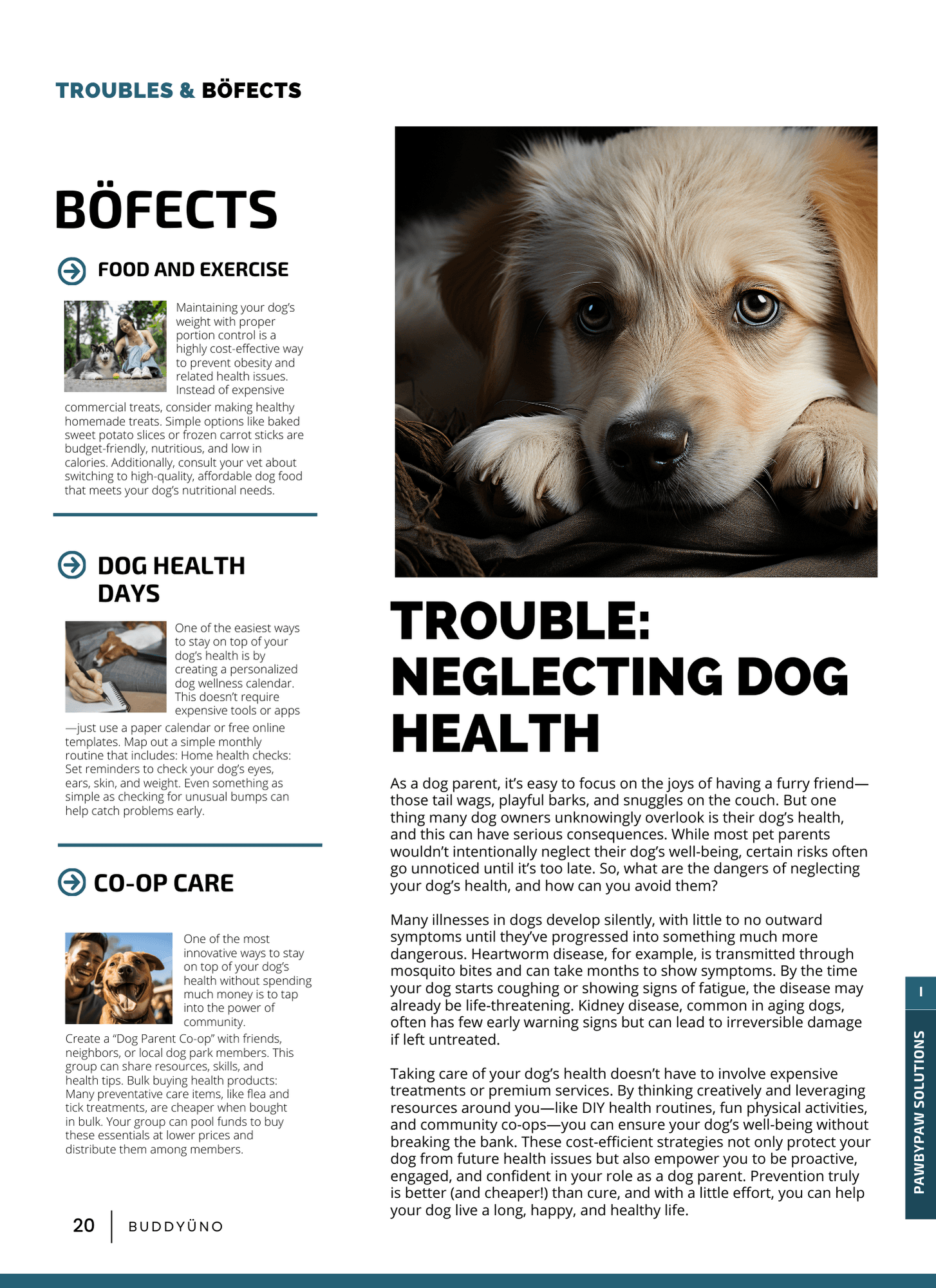 buddyuno, dog magazine, page 16