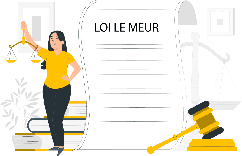 loi le meur