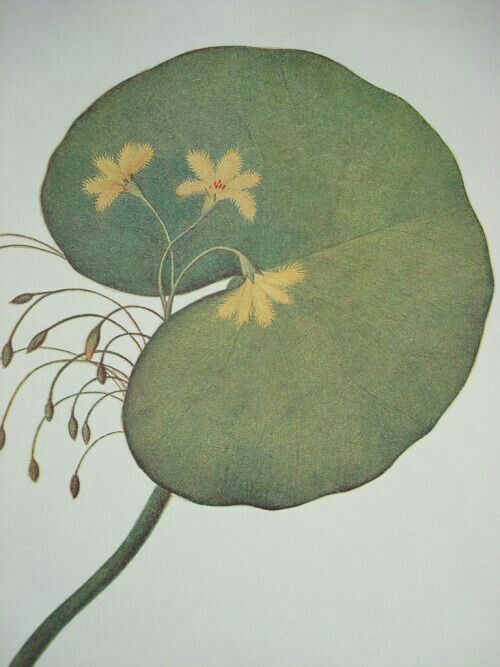 Close-up of a couple hugging