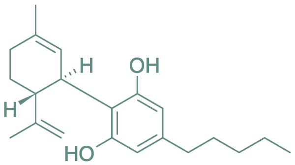 icon of cannabidiol molecule structure