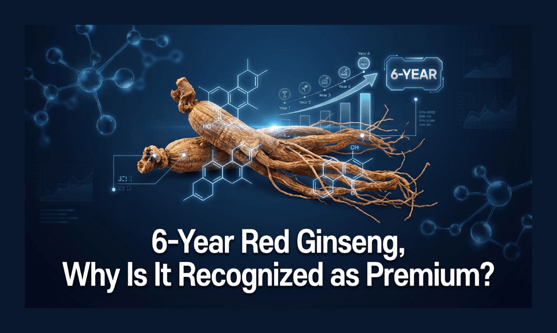 why-6-year-red-ginseng-is-premium