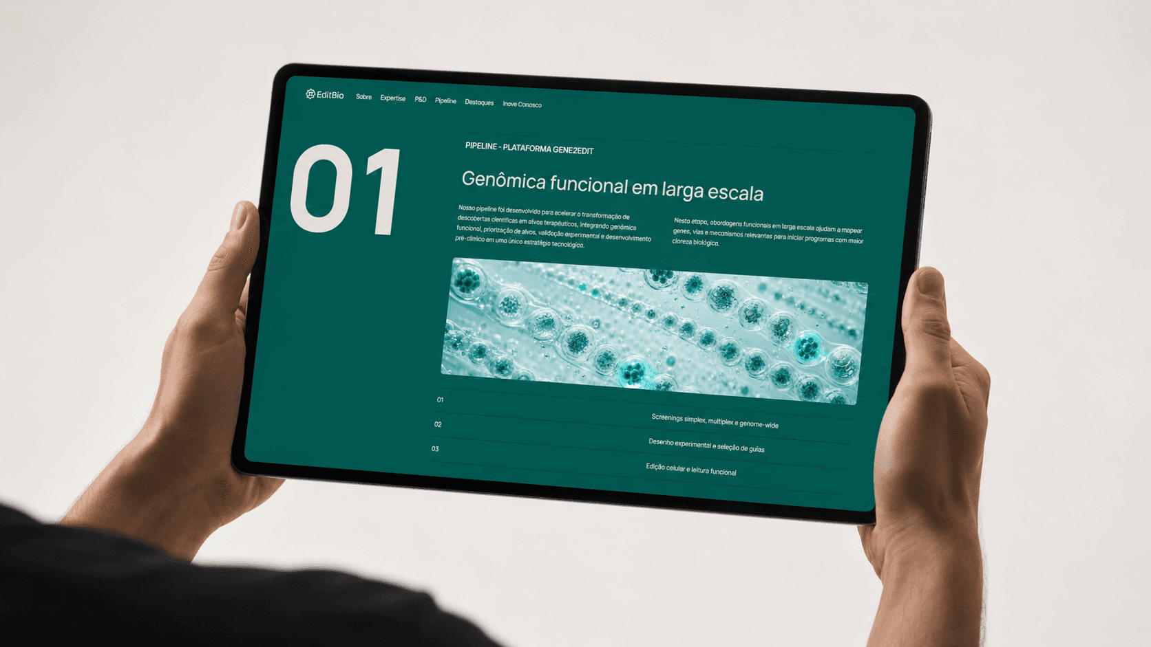Cinco telas mobile da experiência digital da Editbio