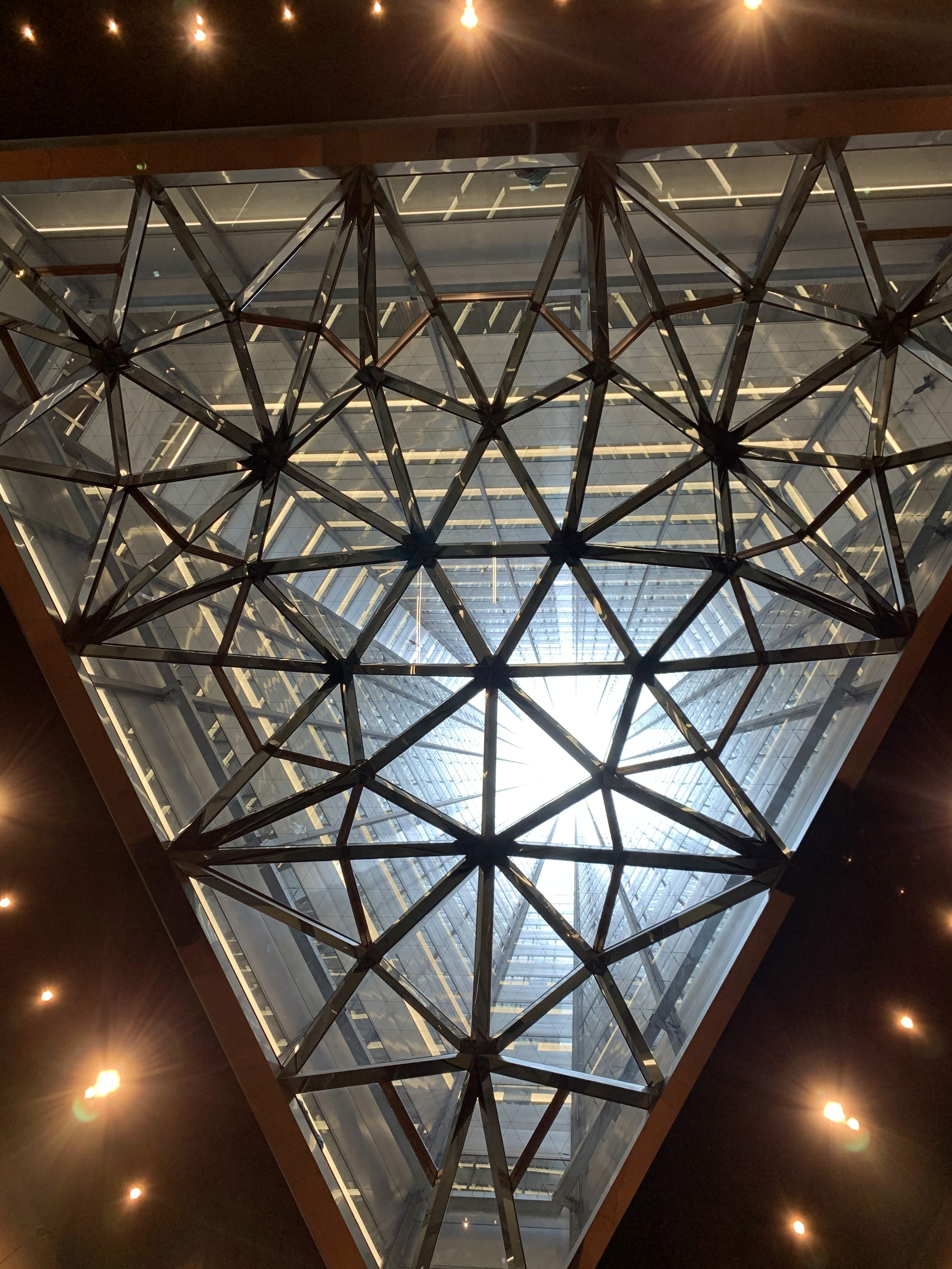 Dynamic picture of a cyclist riding downhill