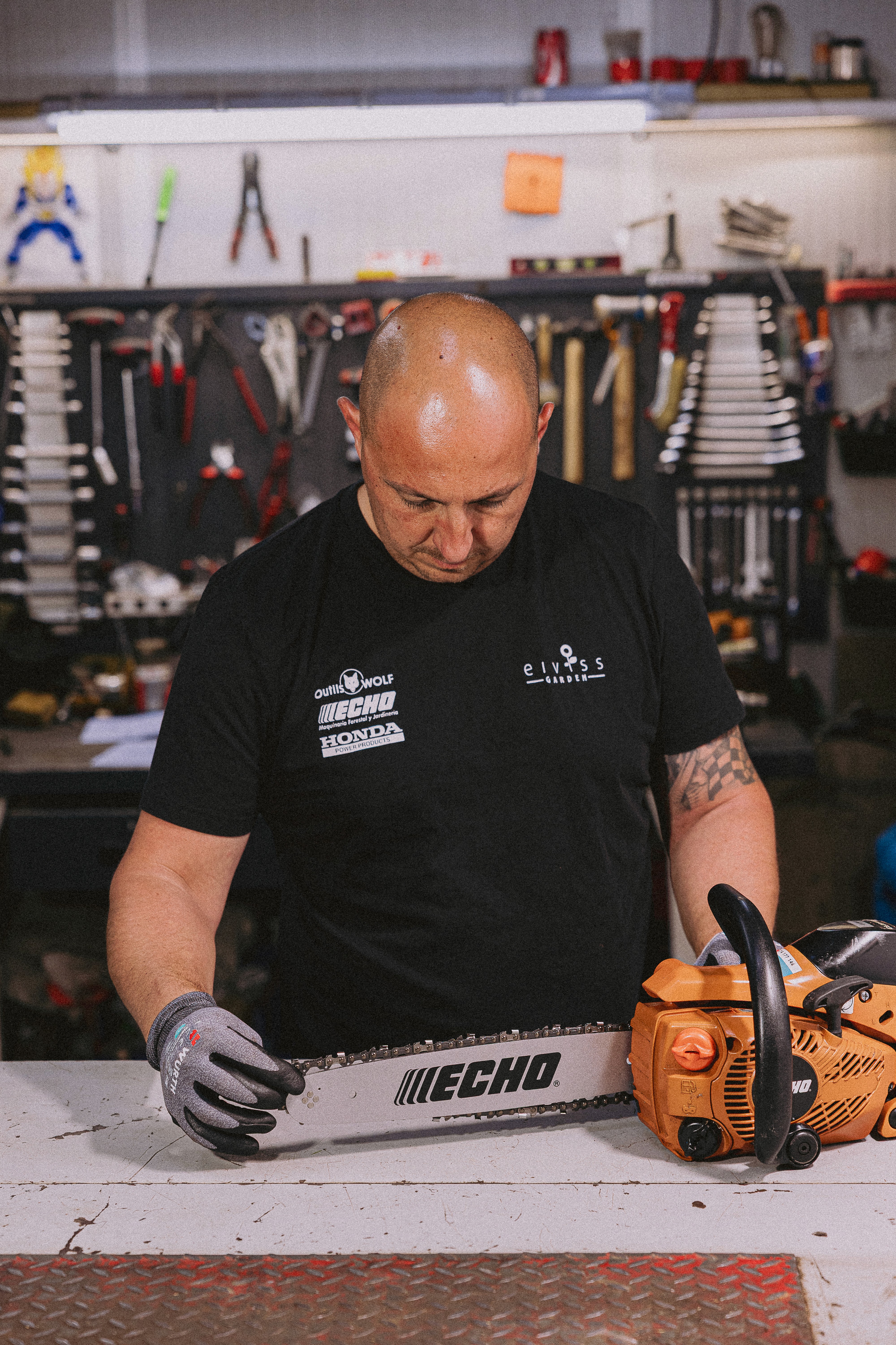 Eiviss Garden Repair Workshop