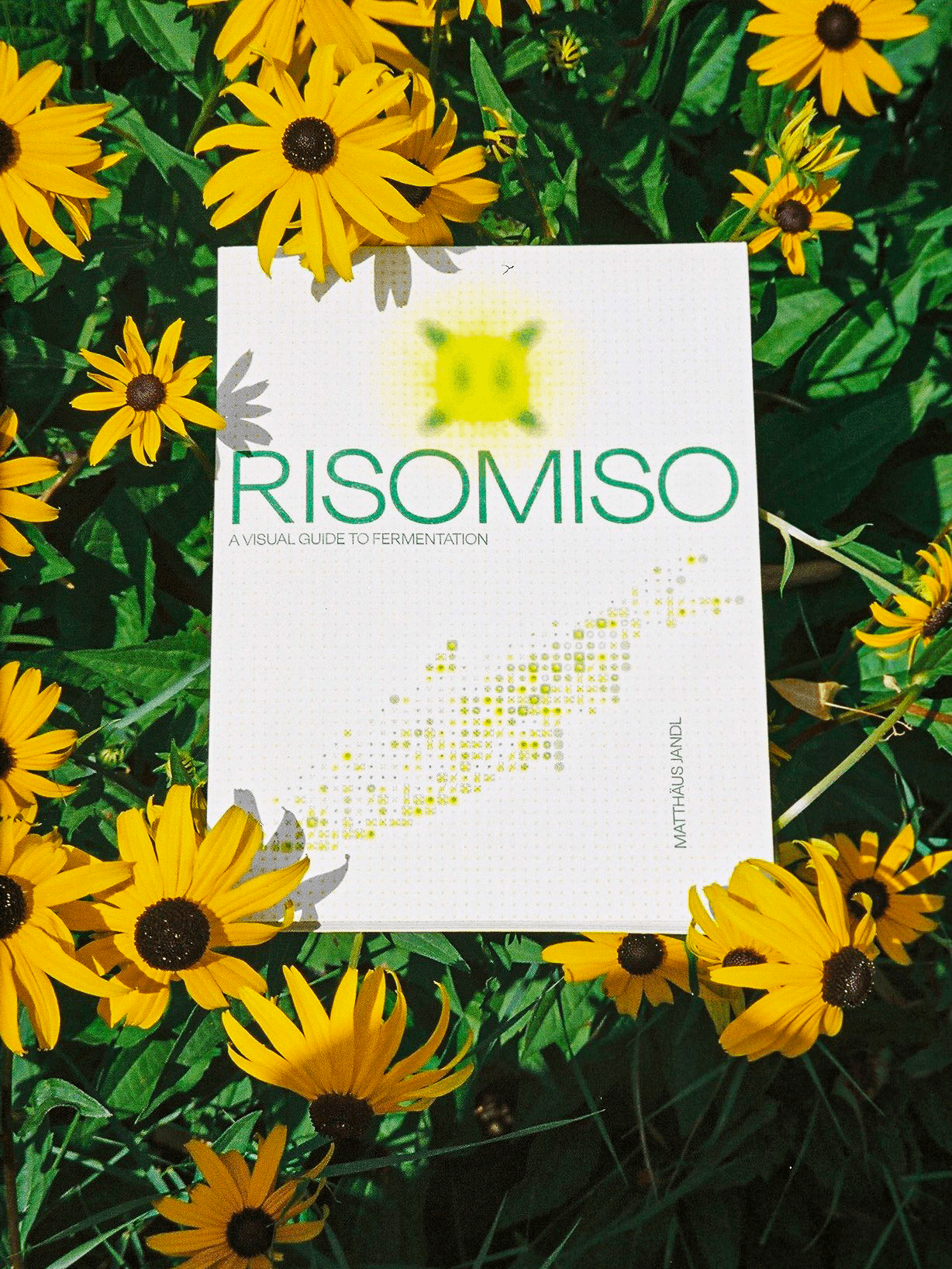 RISOMISO, risographic publication, Matthäus Jandl