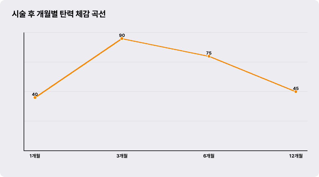 시술 후 개월별 탄력 체감 곡선