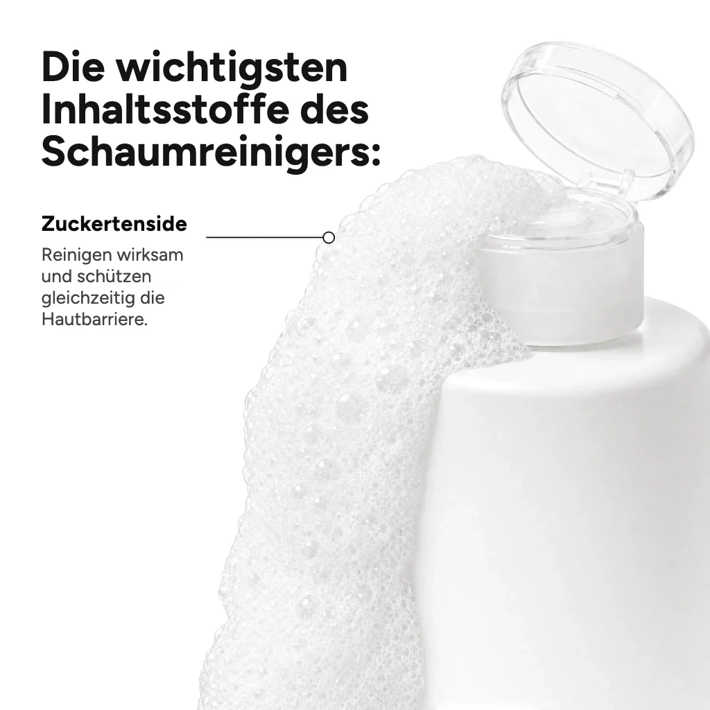 Infografik zu den Inhaltsstoffen eines Schaumreinigers mit Schaum und Flasche