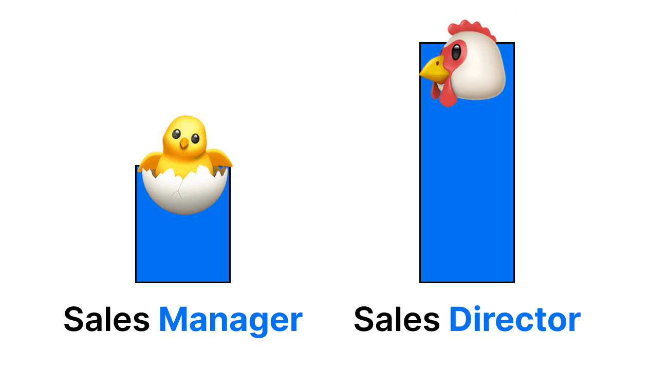 Sales Manager vs Sales Director explained